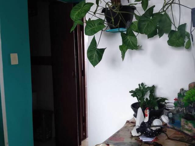 Apartamento para Venda em São Vicente - 4